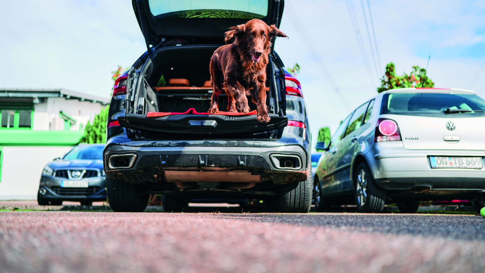 magalog highres DSC08123 259 hsw