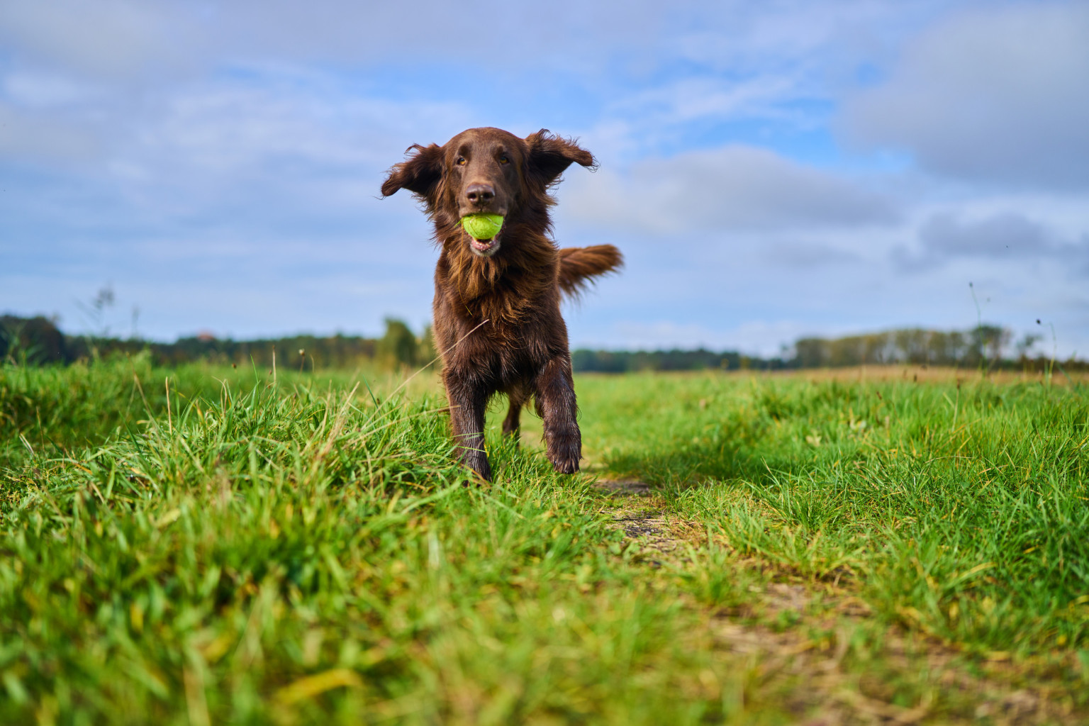 magalog highres DSC08390 282