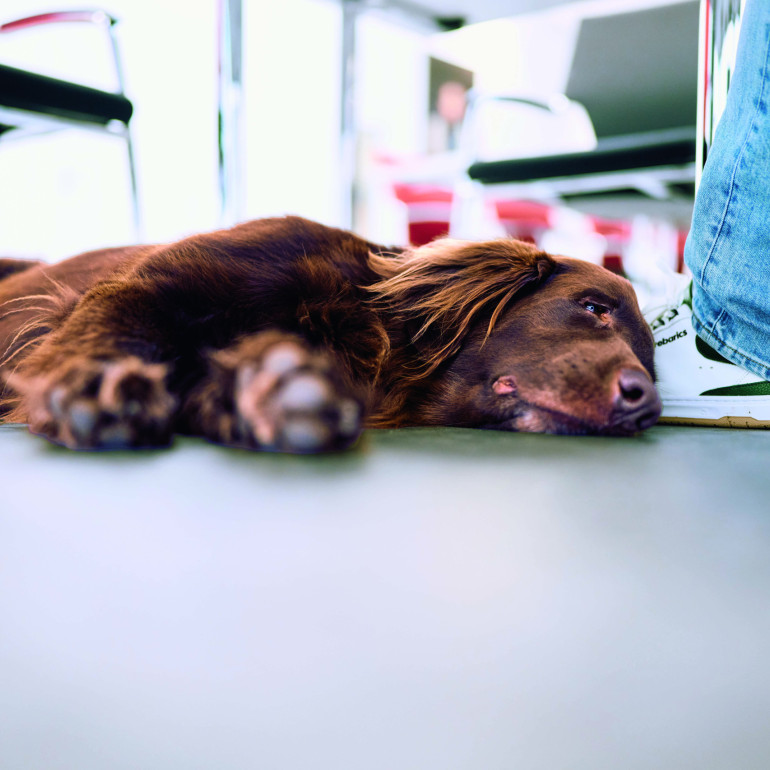 magalog highres DSC08629 313 hsw