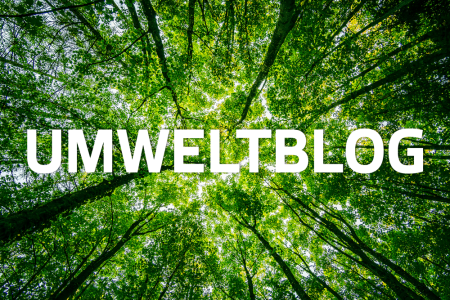 Umwelt Titel02